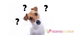 Cachorro Tremendo: O Que Pode Ser?