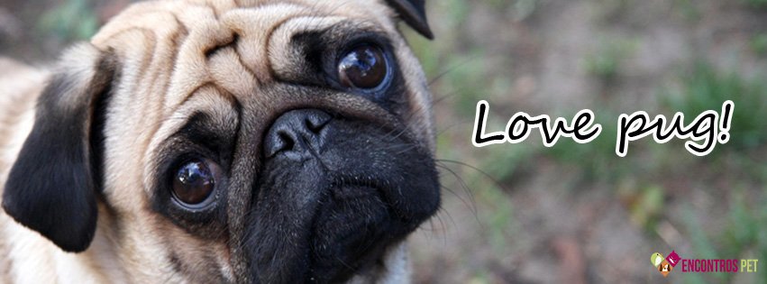 Capas para Facebook de Cachorros Fofos