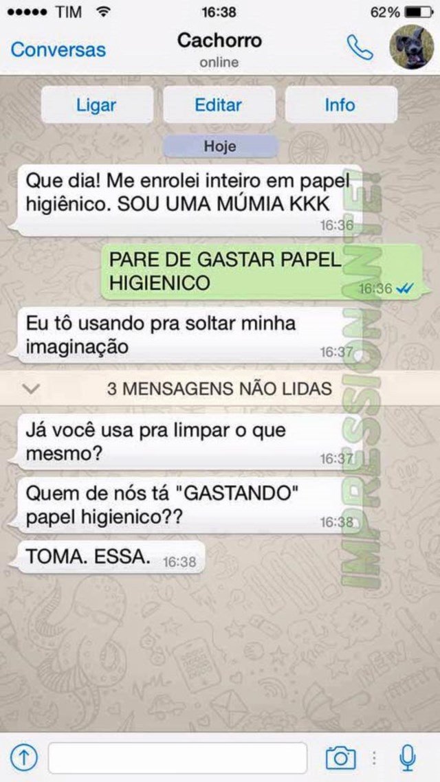 conversa-whatsapp-cachorro