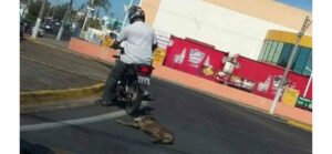 REVOLTANTE: Motoqueiro é visto arrastando cachorro em avenida no interior de SP.