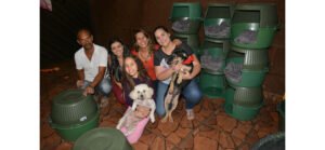 ABENÇOADOS: Grupo espalha casinhas para cães de rua se aquecerem no inverno.