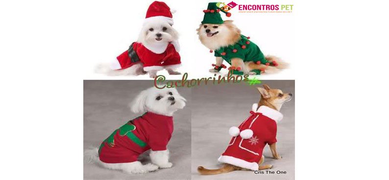 Roupas de Natal para Cachorro - Encontros Pet Roupas de Natal para Cachorro - Encontros Pet