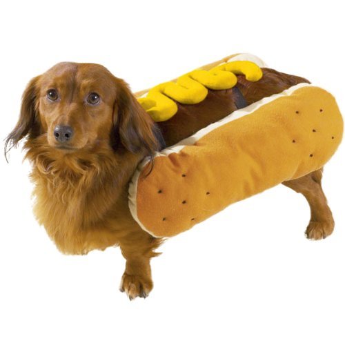 fantasia-para-cachorro-01