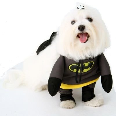 fantasia-para-cachorro-02