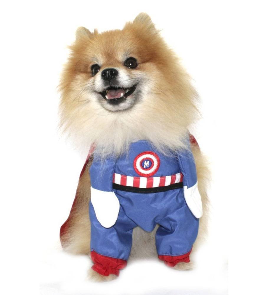 fantasia-para-cachorro-04