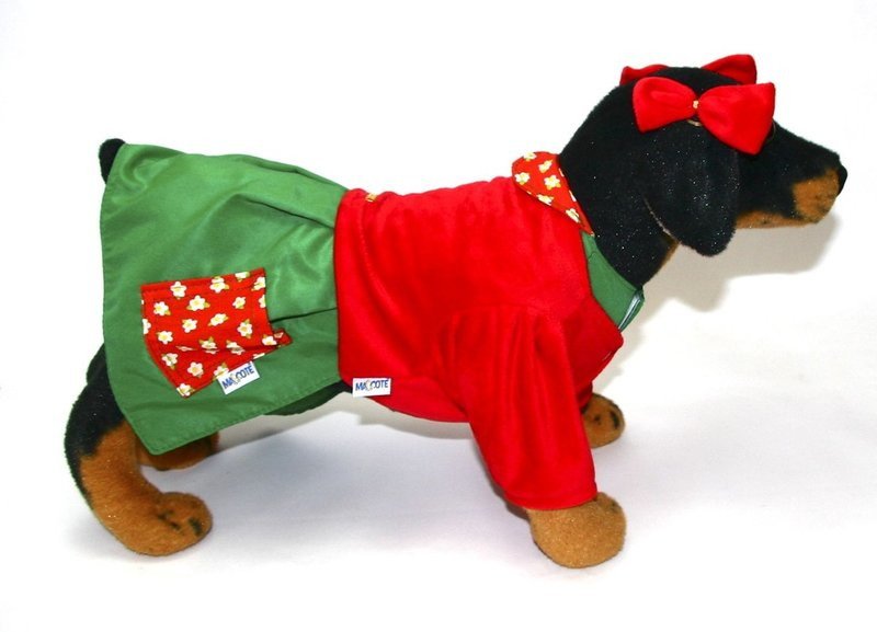 fantasia-para-cachorro-08
