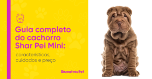 Guia completo do Shar Pei Mini: características, cuidados e preço