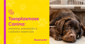 Toxoplasmose Canina: sintomas, prevenção e cuidados essenciais